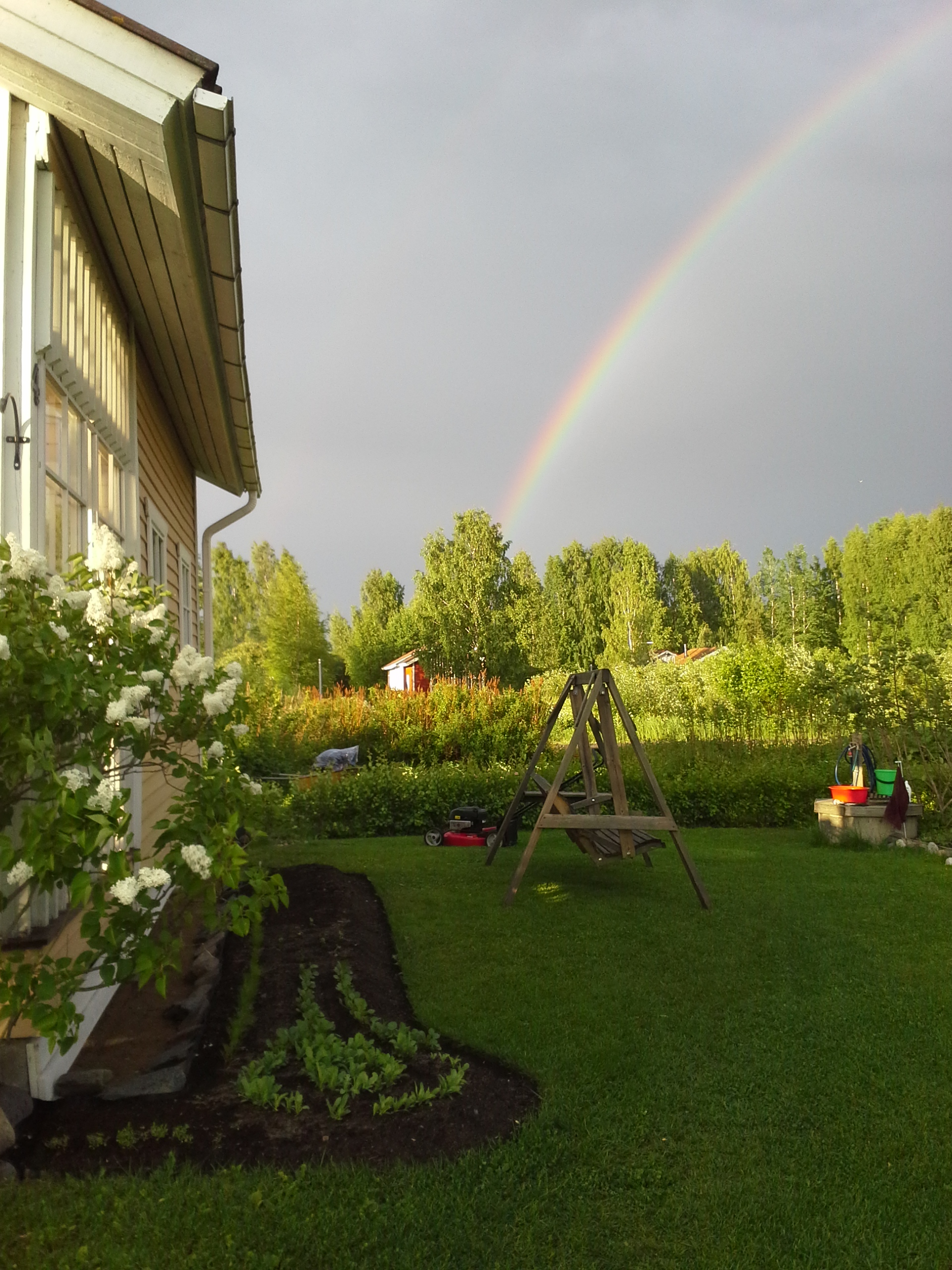 Kuvia kesältä 2013