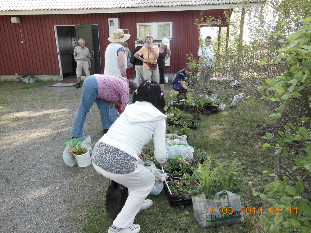 Perennamyyjäiset 3 2014