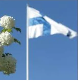 Yhdistyksen ylimääräinen kokous sunnuntaina 25.8.2019 takkatuvalla klo 14.00