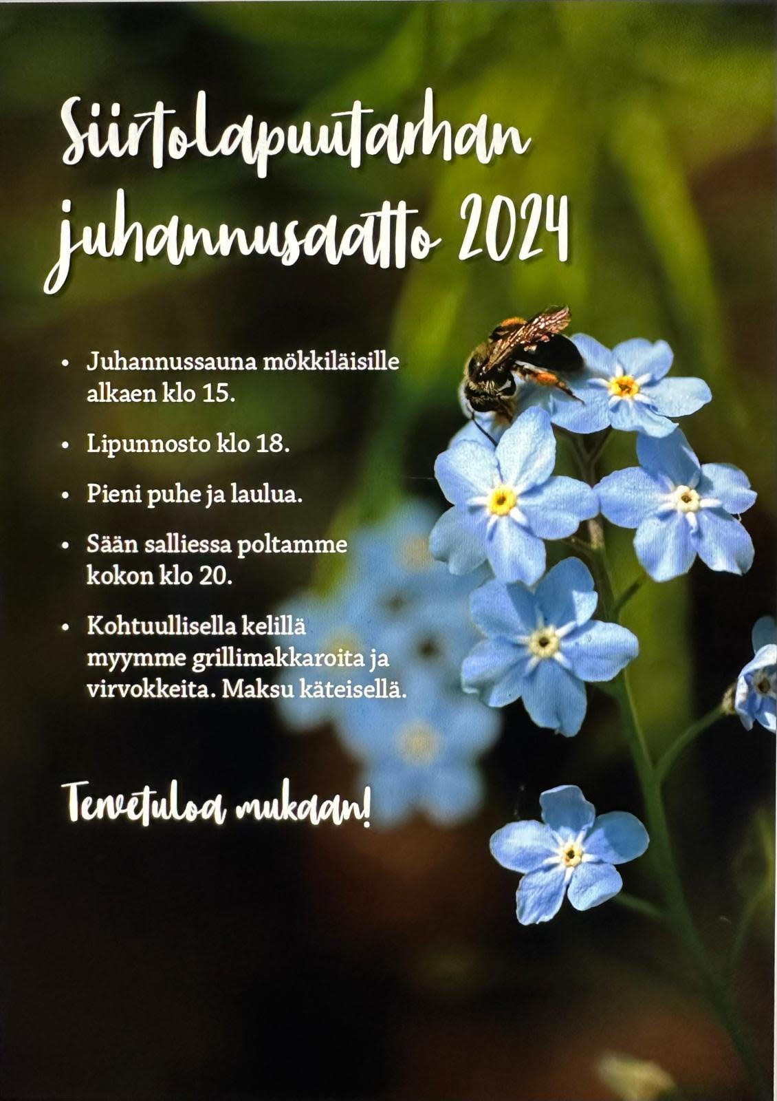 Lipun nosto ja juhannusjuhlat